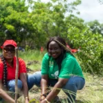 Telecel employee volunteers plant over 5000 trees in massive reforestation effort